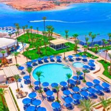 Albatros Sharm (Ex. Beach Albatros Sharm) 4*