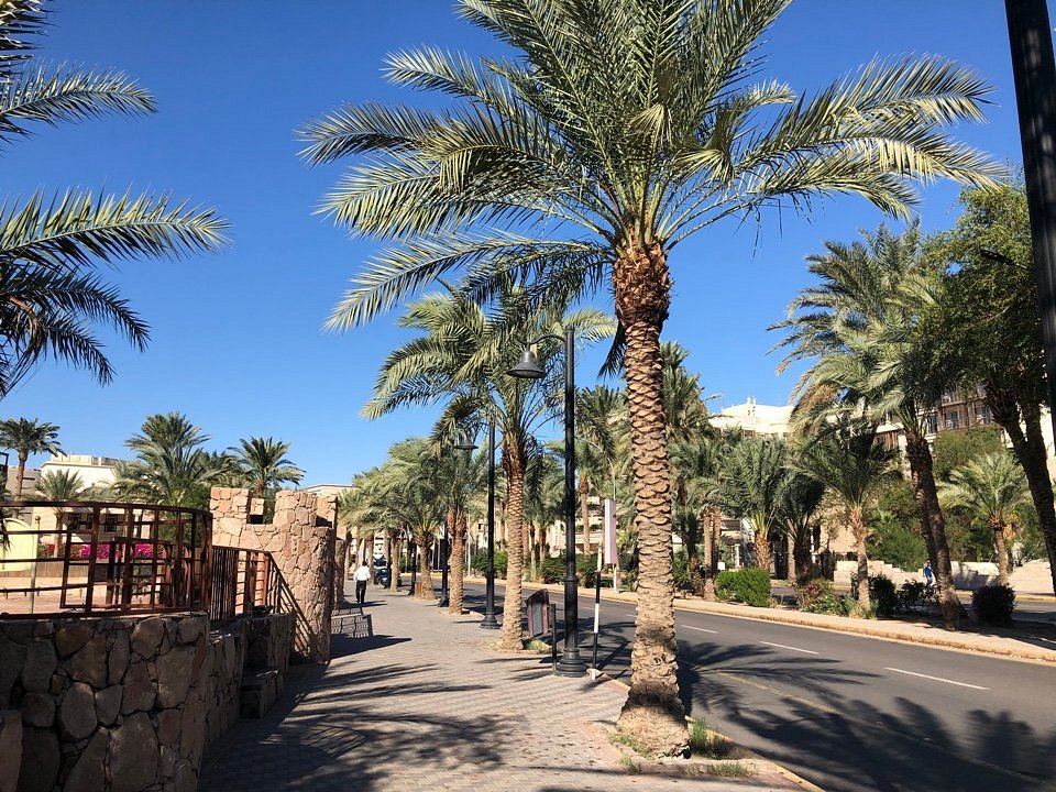 Aqua Vista Hotel Aqaba 3* — изображение 4